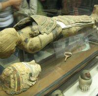 Охранител изнасилвал египетска мумия