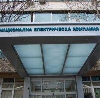 Подадени са две обвързващи оферти за заема за НЕК
