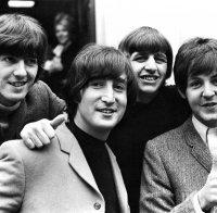 Рядка ранна плоча на 