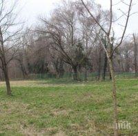 Почистват розариума край Гребната база в Пловдив
