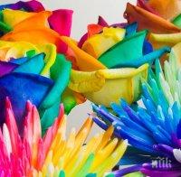 Какви цветове жената да подбира за тоалетите си