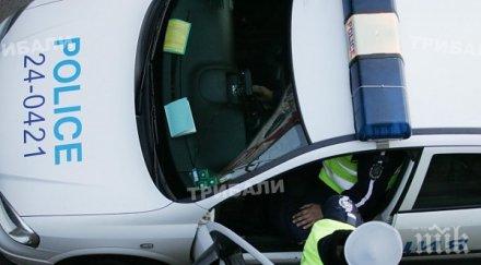 заведения кучета тормозят съня пловдивчани