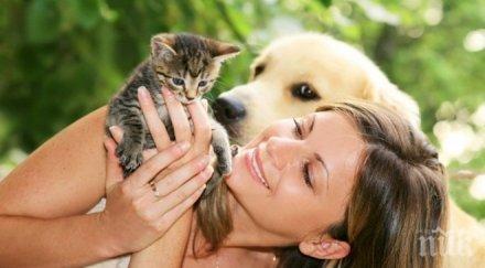 затягат контрола домашните любимци пловдив