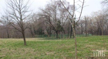 почистват розариума гребната база пловдив