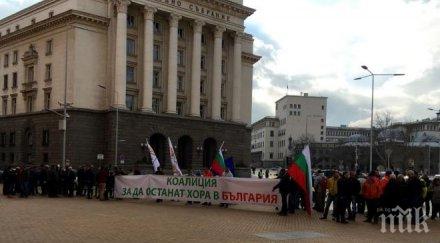 банско въстава зеления рекет платените екололози зелените милионери истинската олигархия българия снимка