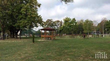 столична община прекрати поръчка озеленяване стойност близо млн