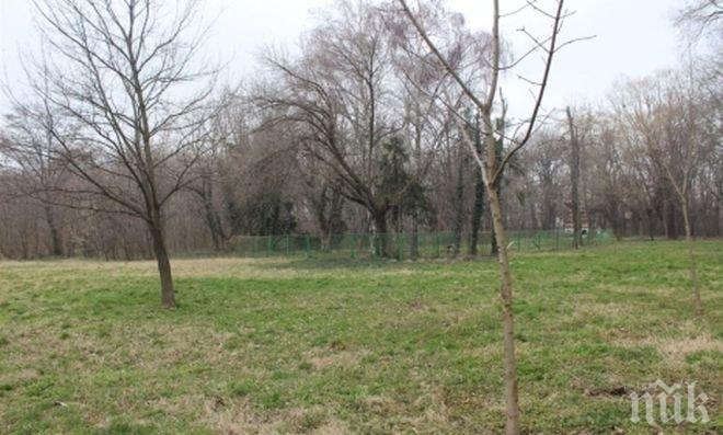 Почистват розариума край Гребната база в Пловдив
