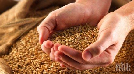 забавят множествената склероза ленено семе