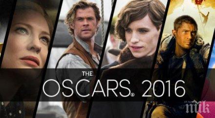 загубилите звезди оскарите ближат раните кошница подаръци 233 хил долара