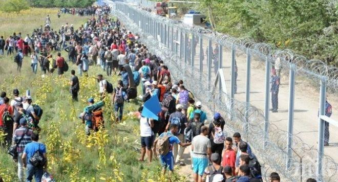 Германската полиция има готовност да върне граничния контрол
