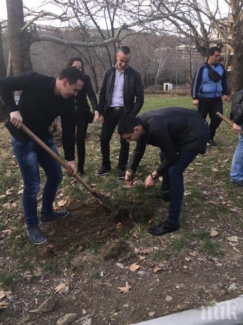 Младежи ГЕРБ от цяла страна засадиха дръвчета в  парка Свети Врач в гр. Сандански