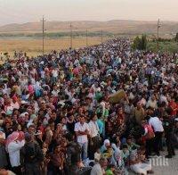 Около 8500 мигранти са струпани на гръцко-македонската граница