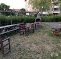 В Търново раздават цветя, дръвчета и храсти за междублокови пространства