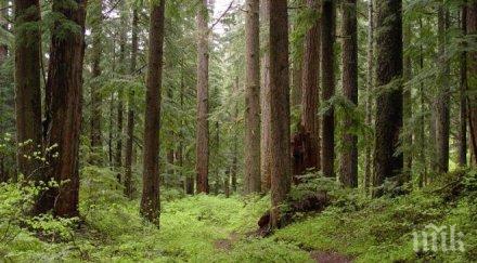 назначиха двама горски шефове