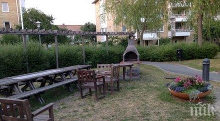 търново раздават цветя дръвчета храсти междублокови пространства