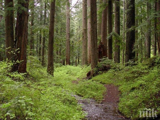 Назначиха двама горски шефове
