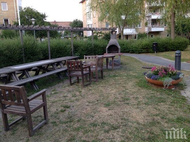 В Търново раздават цветя, дръвчета и храсти за междублокови пространства