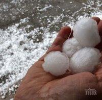 Градушка с големината на лешник помля панагюрско село