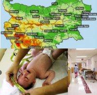 Тревога! Проф. Тодор Кантарджиев алармира: Благоевград е застрашен от вируса Зика! Вижте какво още каза шефът на Националния център за заразни и паразитни болести
