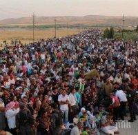 Австрия призова Гърция да спре мигрантите, тръгнали на север