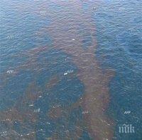 Край остров Сахалин е станал петролен разлив
