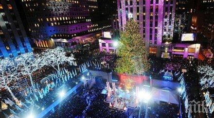 йорк откриха скъпата гара света