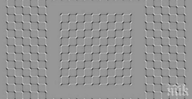 18 изображения, които оказват влияние върху твоят мозък! Не са за подценяване!