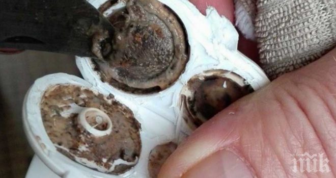  Ужасяващо! Вижте какво никога не трябва да давате на децата си (снимки)