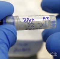 Учени доказаха: Вирусът зика предизвиква микроцефалия на плода