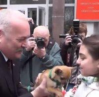 Путин зарадва момиченце с куче (видео)