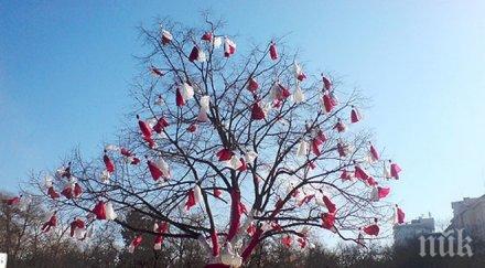 баба марта усмихва чака слънце живакът скача 15°