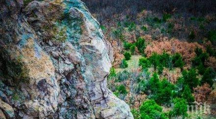 уникално заснеха метров мъжки профил скала сърница