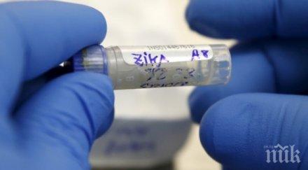 учени доказаха вирусът зика предизвиква микроцефалия плода