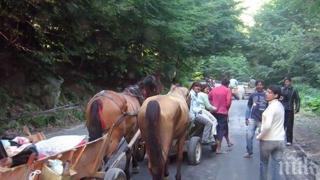 Забраниха движението на каруци в центъра на Враца
