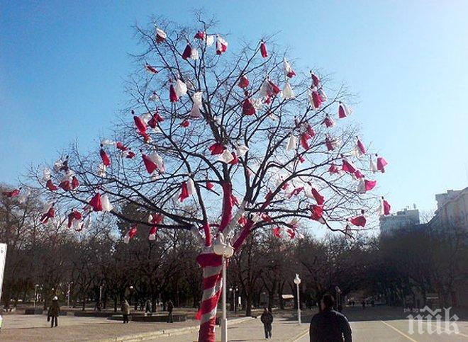 Баба Марта ни се усмихва: Чака ни слънце, живакът скача до 15°