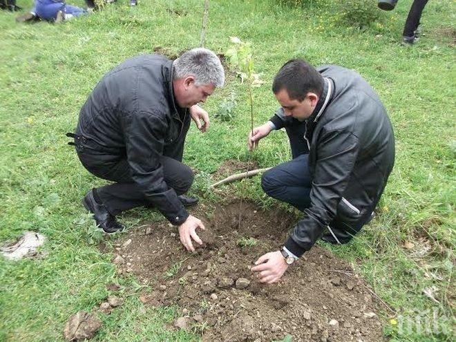 Община Враца започна кампания за озеленяване на междублоковите пространства

