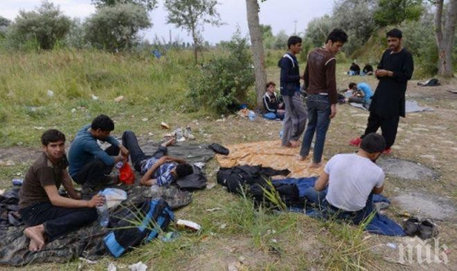 Спипаха нелегални мигранти, сред които и деца, в Свиленград