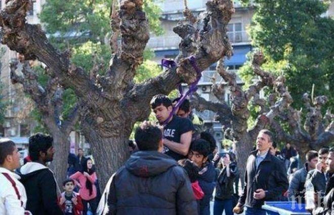 Швейцария представи проектозакон за ограничаване на имиграцията от ЕС
