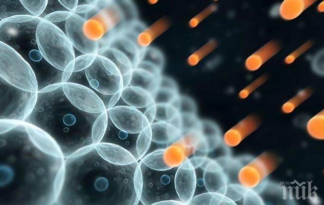 Британски учени вярват, че са намерили Ахилесовата пета на рака
