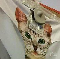 Пуснаха гащи 