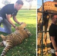 Рууни се боричка с тигър в Дубай, грози го наказание