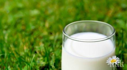 млекопроизводителите заплашват блокират държавата