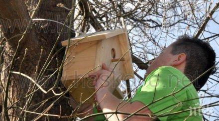 кметът хасково заедно деца монтира къщички птички градската градина