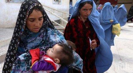 антиимигрантските сили германия засилват позициите