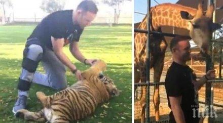 рууни боричка тигър дубай грози наказание