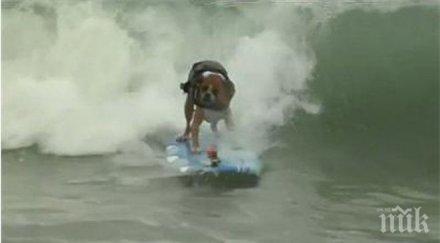 сърфисти изобретили плаващо кошче боклук почиства океаните