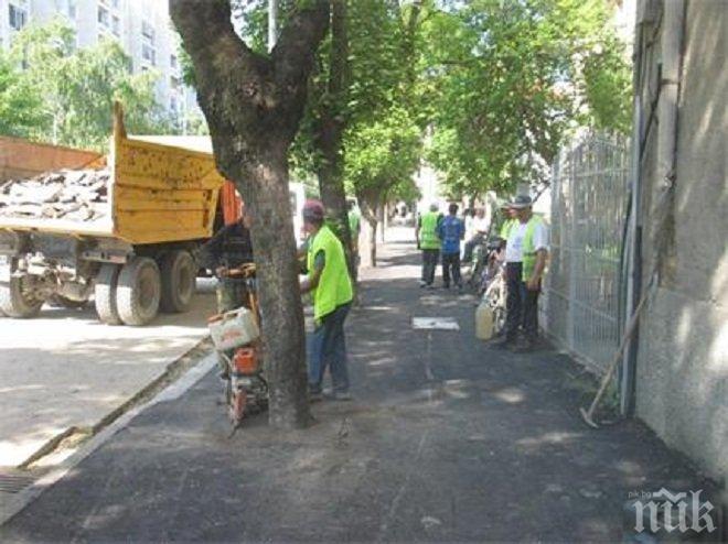 Подрязват корони на дървета в Стара Загора
