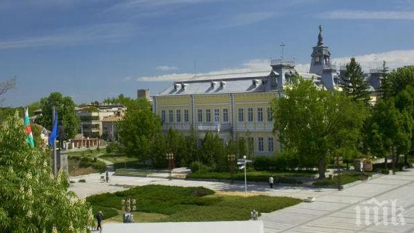 Жителите на Силистра настояват за запазване на старите чинари в центъра на града