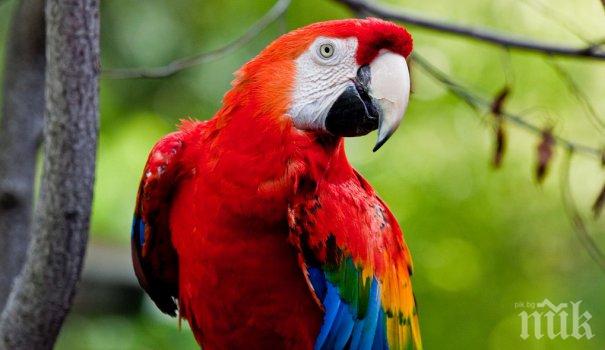 Изследователи установиха: Едва 3% от сушата на земята не е засегната от човека