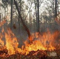 Пожарът в Сакар се разрасна до близо 10 хиляди декара